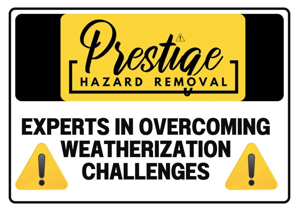 Whatsapp image 2024 07 24 at 10.13.24 7f5dfb08.jpg