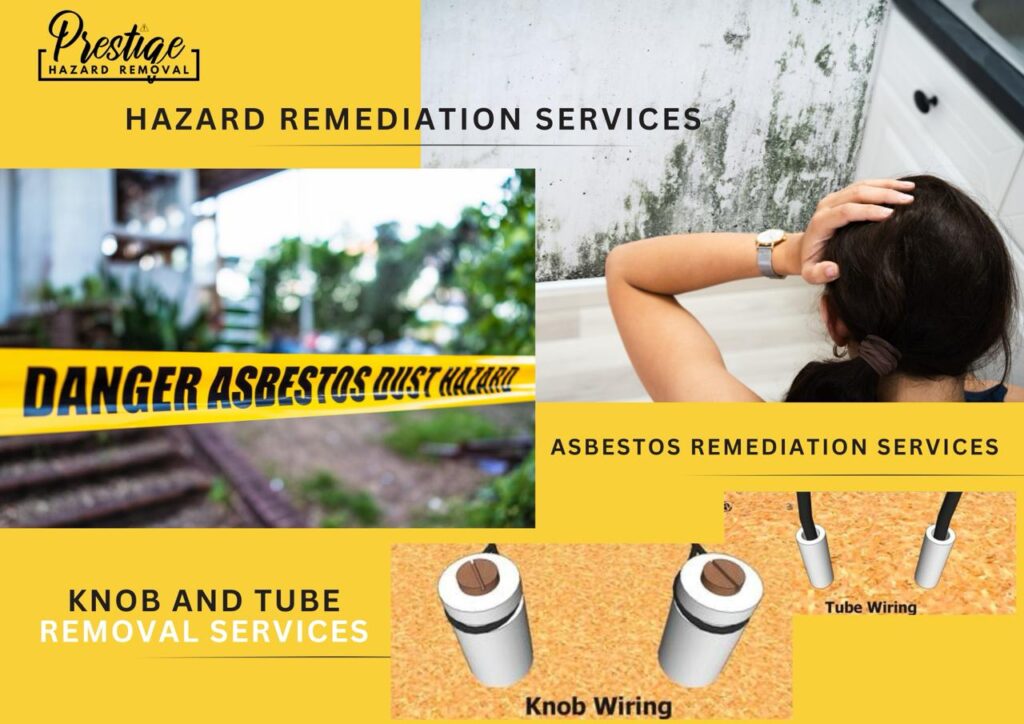 Whatsapp image 2024 07 24 at 10.13.25 4d8e2542.jpg