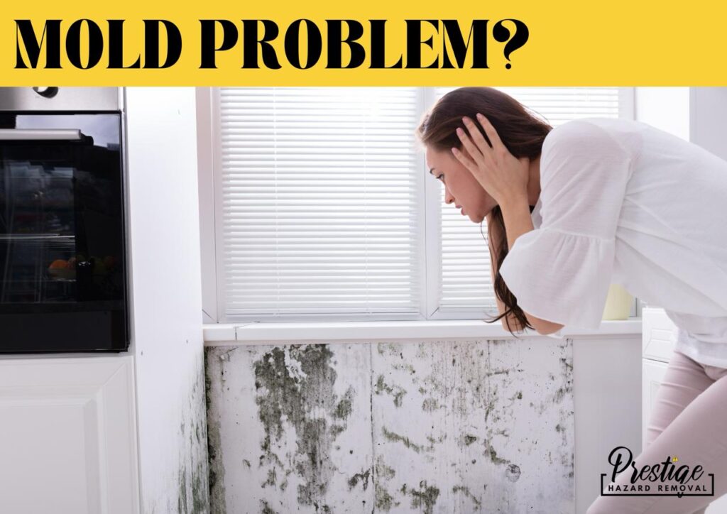 Whatsapp image 2024 07 24 at 10.14.03 14825f19.jpg