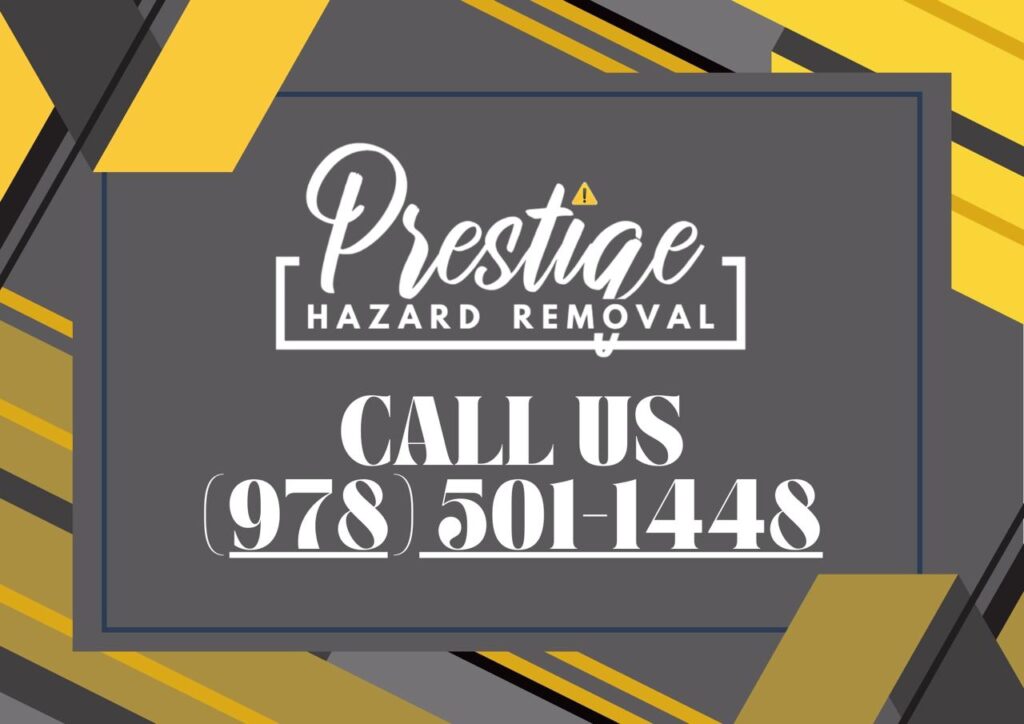 Whatsapp image 2024 07 24 at 10.14.03 b6841291.jpg